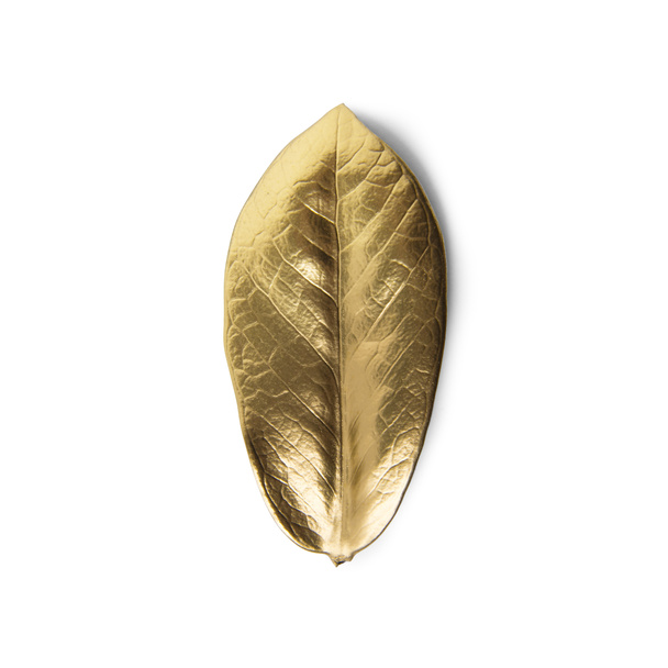 Gold leaf on white background - Φωτογραφία, εικόνα