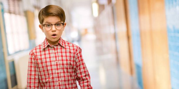 Bonito criança com olhos verdes assustado e surpreso animando expressar gesto wow. Inacreditável no corredor da escola
 - Foto, Imagem