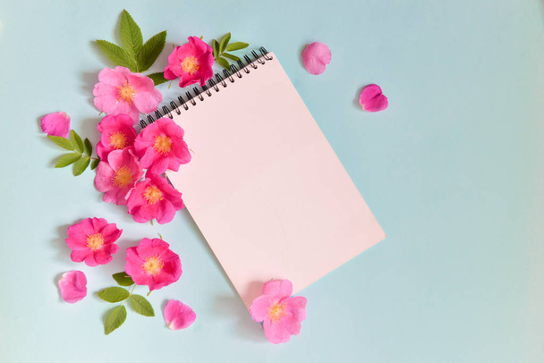 a notebook decorated with flowers lie on a background. contrast design. floristics. floristic composition - Фото, изображение