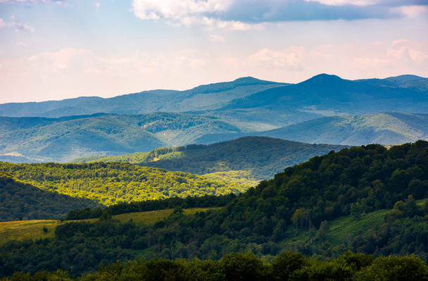 beautiful rolling hills of Carpathian mountains. lovely summer landscape, bird eye view - Фото, изображение