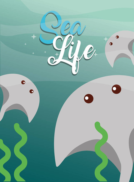 Sea Life sarjakuva
 - Vektori, kuva