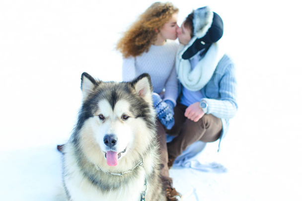 Εσωτερικη ρύγχος του σκύλος χάσκεϋ με φιλιά ζευγάρι στο παρασκήνιο του χειμώνα. - Φωτογραφία, εικόνα