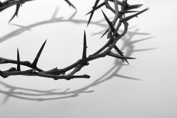 crown of thorns - Photo, image
