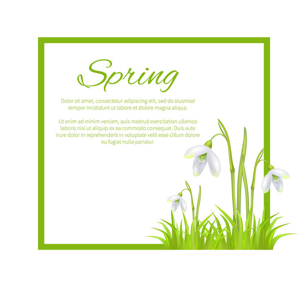 Spring Poster with Text in Frame Colorful Flowers - Vector, Imagen