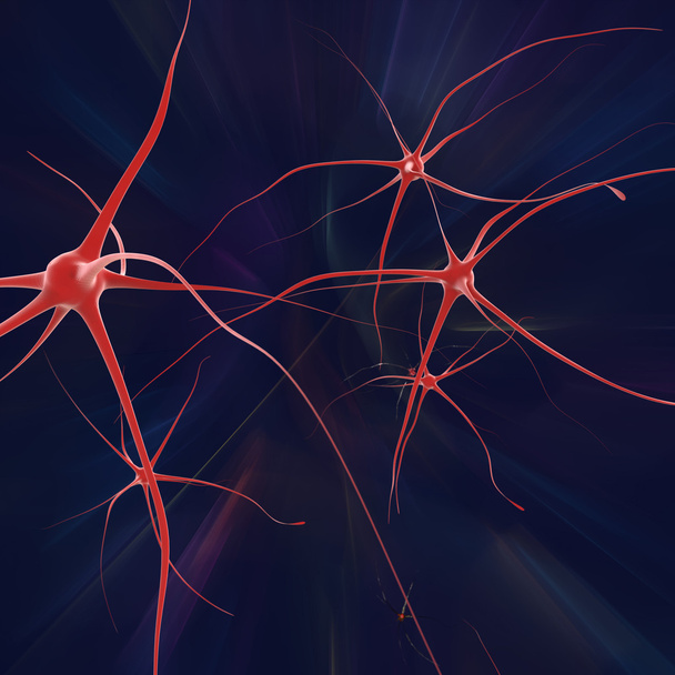 Nerve cells - Photo, Image
