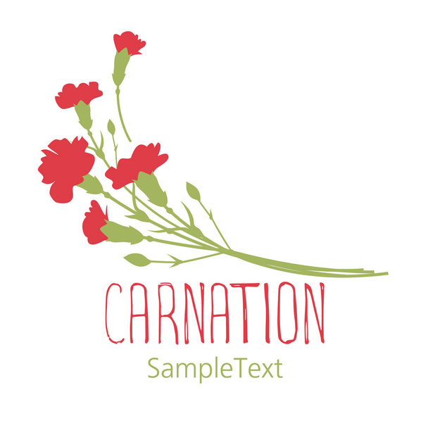 Carnation flowers. Logo design. Text hand drawn. Isolated on white background - Διάνυσμα, εικόνα
