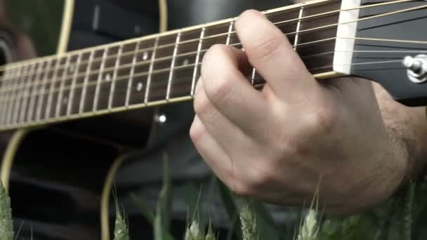 男性は、フィールドの外黒のアコースティック ギターを演奏です。. - 映像、動画