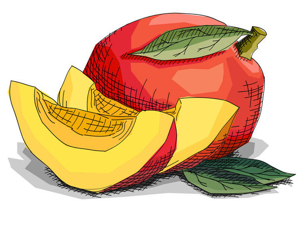 Illustration vectorielle croquis d'art graphique de dessin de mangues de fruits avec des tranches
. - Vecteur, image