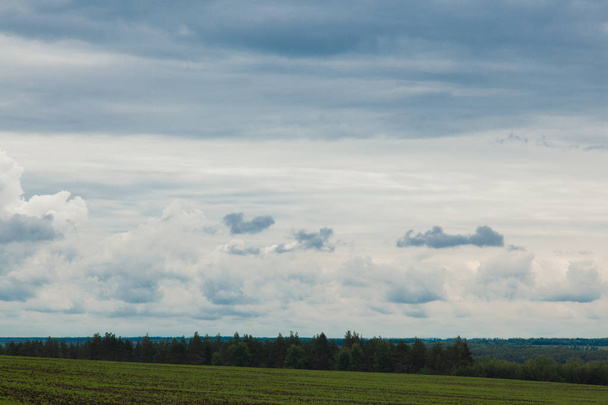 prado verde bajo el cielo azul nublado que va más allá del horizonte
 - Foto, Imagen