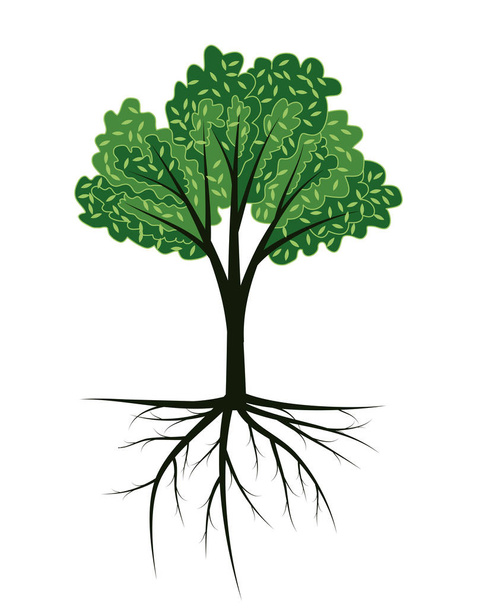 Δέντρο με ρίζες διάνυσμα χέρι - Διάνυσμα, εικόνα