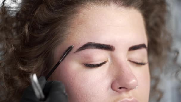 Womans brows been combed by eyebrow brush after coloring, eyebrow correction for curly beautiful woman at the beauty salon, eyebrow coloring with natural dyes, coloring with henna, beauty and - Footage, Video
