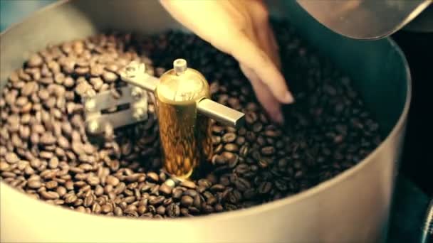 Mixing of roasted coffee. Partial removal of bad grains. The roasted coffee beans got on the mixer sorting by a professional machine. Slow motion. - Filmmaterial, Video
