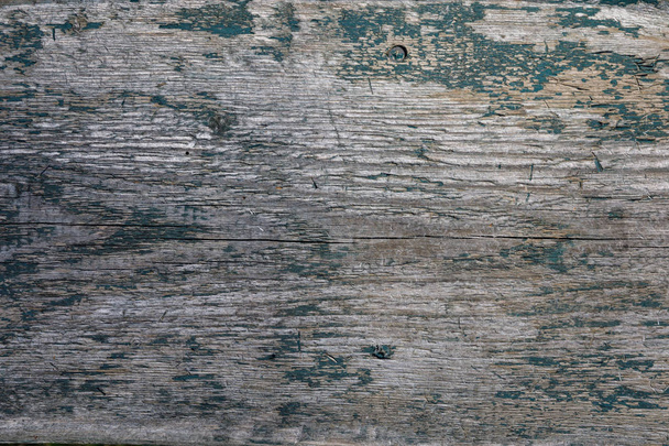 Texture de l'arbre tronc d'arbre, gros plan
 - Photo, image