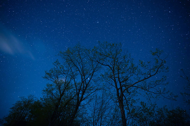 Hvězdné nebe v Hokkaido - Fotografie, Obrázek