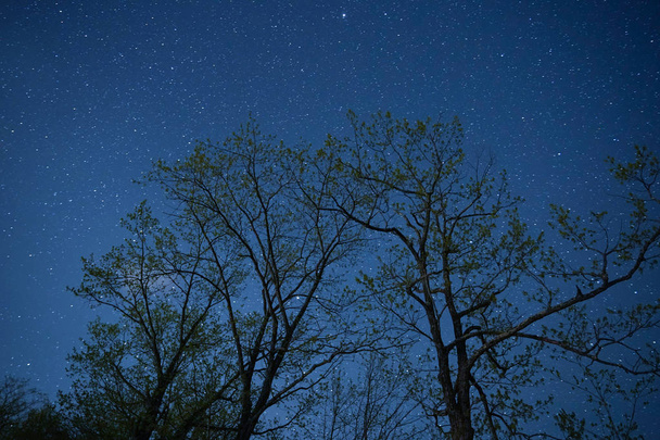 Sternenhimmel im Hokkaido - Foto, Bild