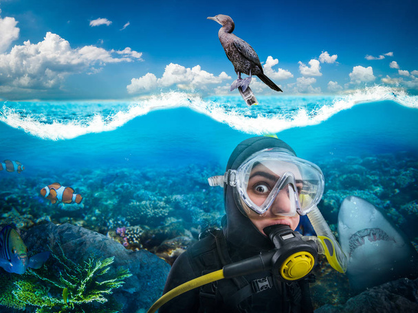 Mujer buceadora en traje de neopreno y equipo de buceo jadea bajo el agua, pájaro sentado en un tubo, vista lateral bajo el agua. Frogman enmascarado y nadando en el océano
 - Foto, imagen