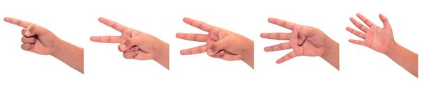 один-п'ять пальців рахують жест рук на білому тлі
 - Фото, зображення