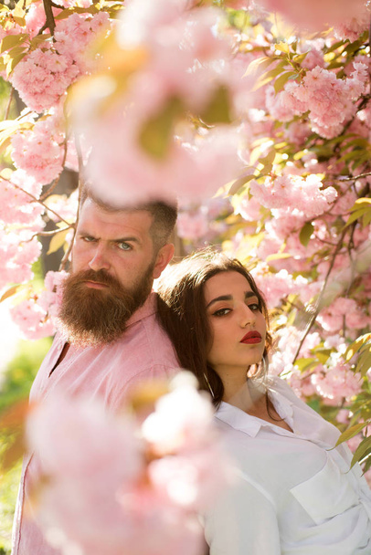 Man and woman standing under blooming branches on spring day. Couple stands near sakura trees. Couple in love spend time in spring garden, flowers on background, defocused, close up. Date concept. - Φωτογραφία, εικόνα