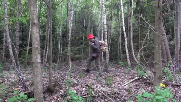 Reiziger, een volwassen man, wandelingen door een donker, wild, verschrikkelijke bos in avond, vliegen muggen - Video