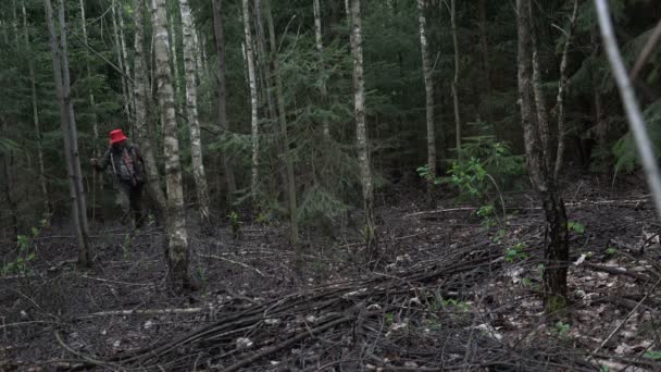 Reiziger, een volwassen man verdwaald in een donker, wild, verschrikkelijke bos in avond, vliegen muggen - Video