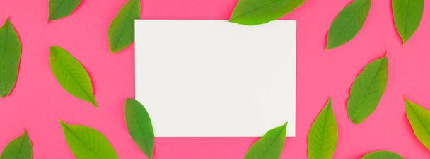 Creatieve plat lag bovenaanzicht patroon met verse groene bladeren op helder roze achtergrond met briefkaart mock up en ruimte in minimale pop-art stijl, sjabloon voor tekst kopiëren. Lange brede banner - Foto, afbeelding
