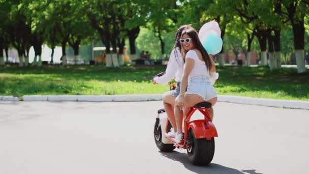 Dos hermosas chicas en pantalones cortos de mezclilla viajan en el parque en un scooter eléctrico en el verano
 - Metraje, vídeo