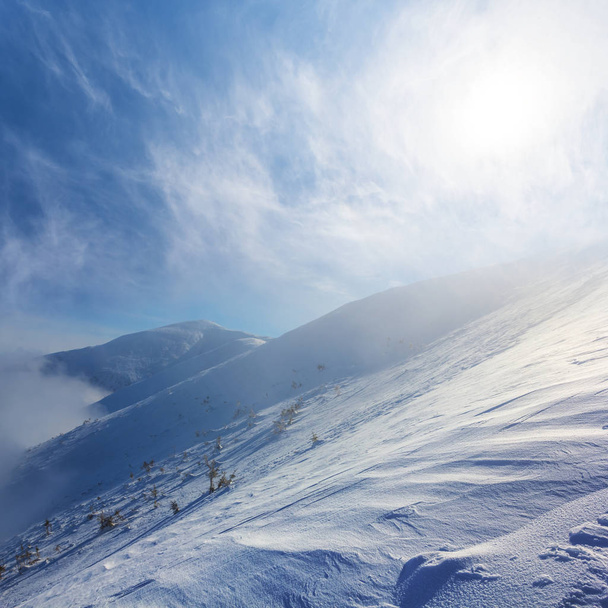 snowbound mountain slope  under a sparkle sun - Valokuva, kuva