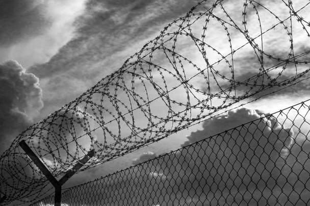 φράχτη από αγκαθωτό σύρμα πάνω από συννεφιά, μαύρο και άσπρο φωτογραφία - Φωτογραφία, εικόνα