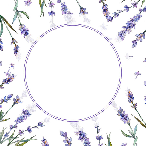 Violet lavender. Floral botanical flower. Frame border ornament square. Aquarelle wildflower for background, texture, wrapper pattern, frame or border. - Foto, afbeelding