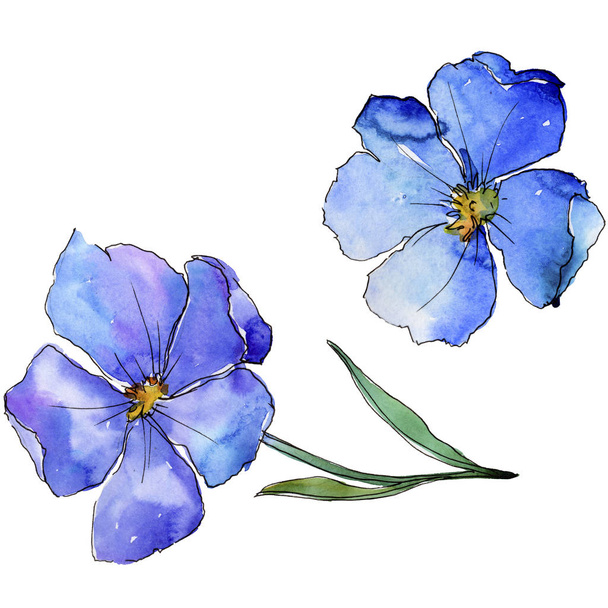Blue flax. Floral botanical flower. Wild spring leaf wildflower isolated. Aquarelle wildflower for background, texture, wrapper pattern, frame or border. - Fotografie, Obrázek