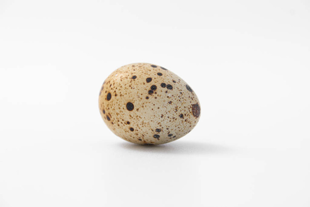 Yumurtalar bıldırcın küçük beyaz arka plan üzerinde benekli - Fotoğraf, Görsel