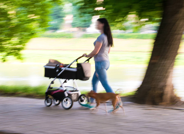 通りを歩いているベビーカーの中に小さな子供を持つ若い母親。意図的な動きのぼかし - 写真・画像