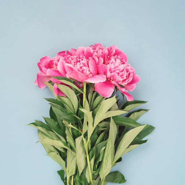 Bouquet of pink peony flowers. - Φωτογραφία, εικόνα