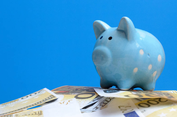 Blue piggy bank on a lot of money bills. - Foto, Bild