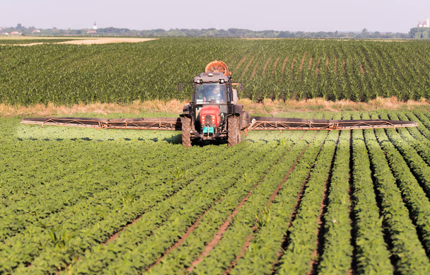 Tractor rociando pesticidas en campo de soja con pulverizador en primavera
 - Foto, Imagen
