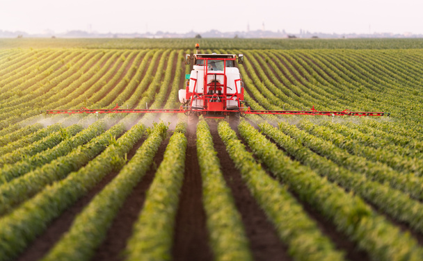 Trattore che spruzza pesticidi sul campo di soia con spruzzatore in primavera
 - Foto, immagini