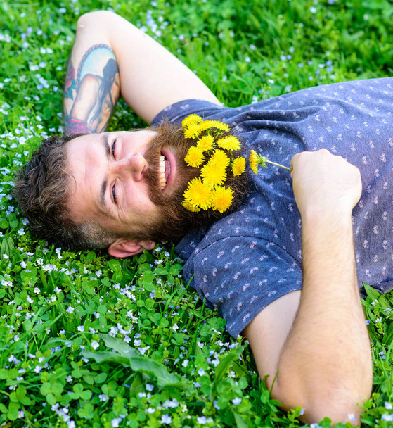 Bearded man with dandelion flowers lay on meadow, grass background. Hipster with bouquet of dandelions in beard relaxing. Man with beard on smiling face enjoy nature. Unite with nature concept - Photo, image
