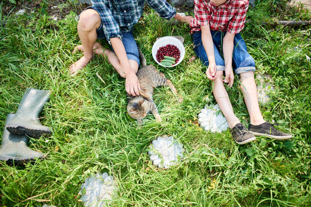 Two brothers sitting on the grass and eat the cherries in the village - Photo, image