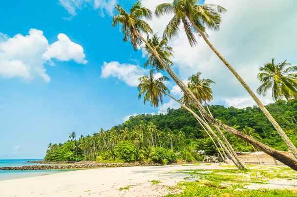 Piękna tropikalna plaża i morze z palmą kokosową w rajskiej wyspie na podróż i wakacje - Zdjęcie, obraz