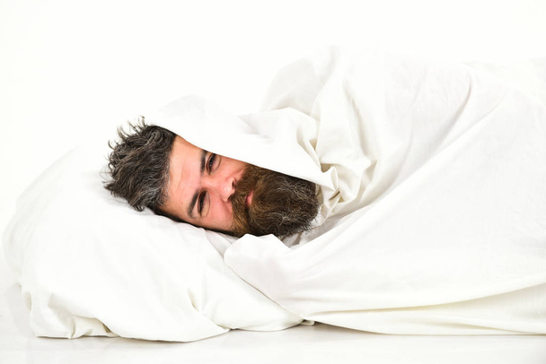 Guy with beard hides under blanket. Weekend leisure concept. - Fotografie, Obrázek