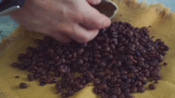 Ανθρώπινα χέρια στην αφή υψηλής ποιότητας κόκκοι καφέ να σκορπίσει, τσάντα από γιούτα, αργή κίνηση - Πλάνα, βίντεο