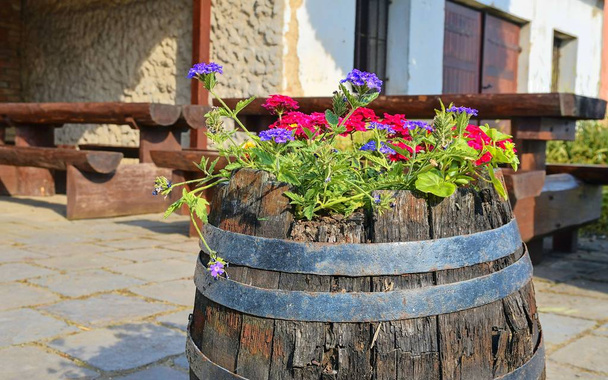 Vieux tonneau de vin rustique avec des fleurs. Fond de vin en Europe. République tchèque, Moravie du Sud
 - Photo, image