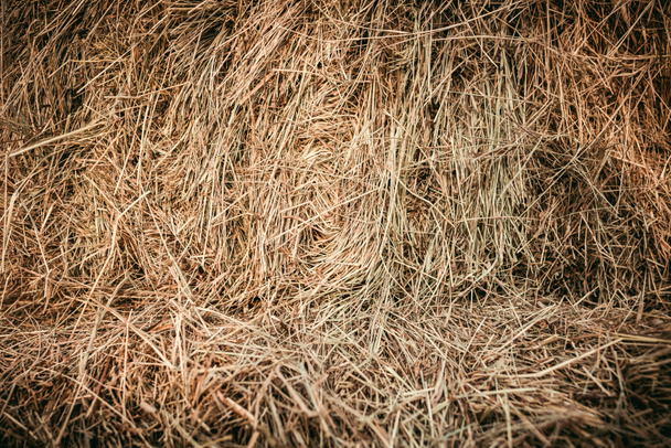 Vollbild des Haufens von trockenem Gras Hintergrund  - Foto, Bild