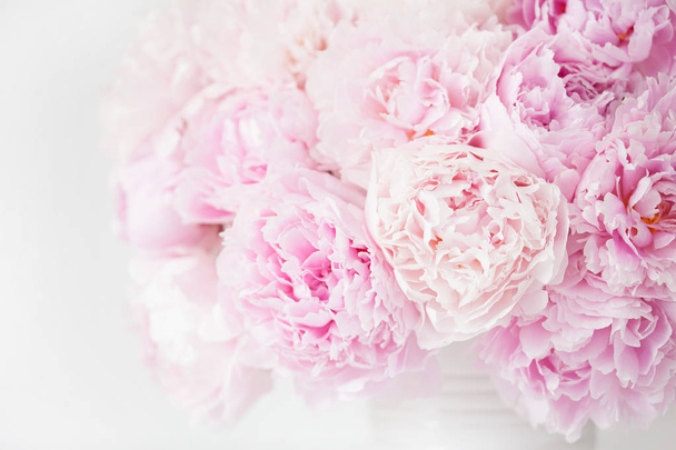 bello rosa peonia fiore sfondo - Foto, immagini