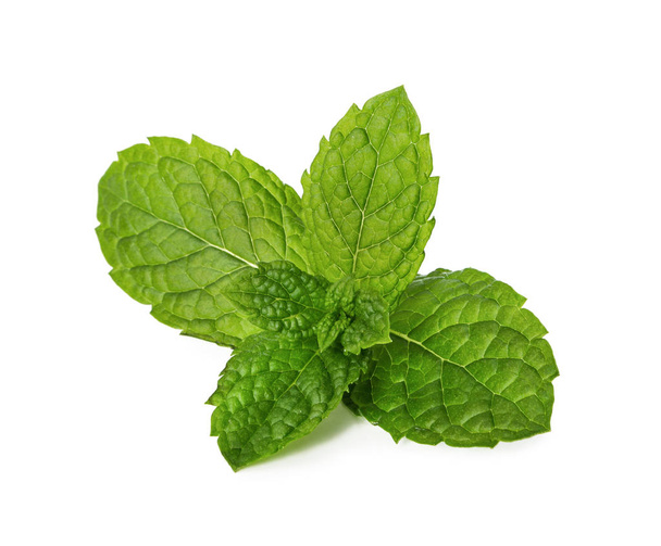 Fresh mint leaves isolated on white background. - Photo, Image