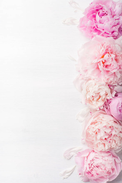 schöne rosa Pfingstrose Blume Hintergrund - Foto, Bild