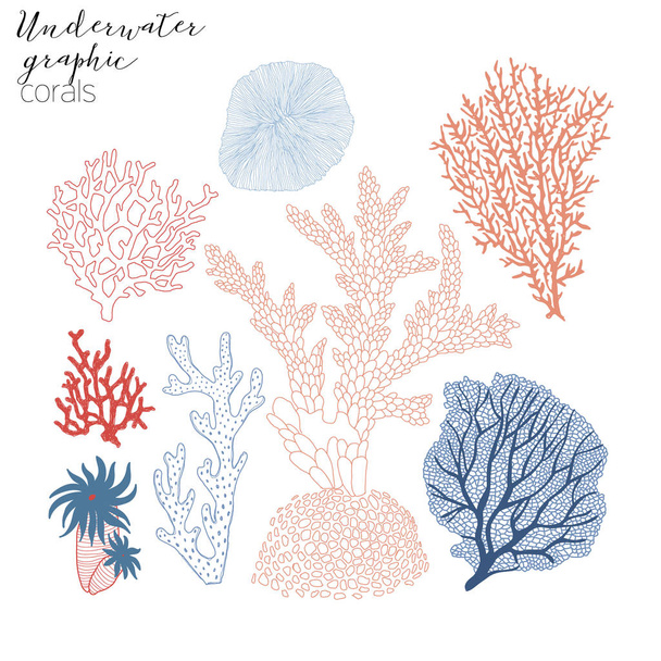 corals graphic collection of aquatic life - Wektor, obraz