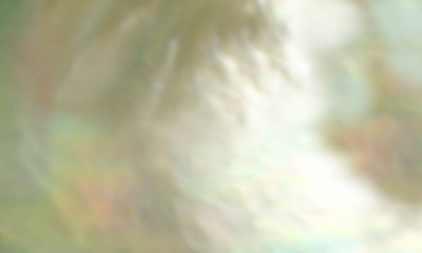 Fond perlé abstrait de nacre floue de coquille d'huître perlé gros plan
 - Photo, image