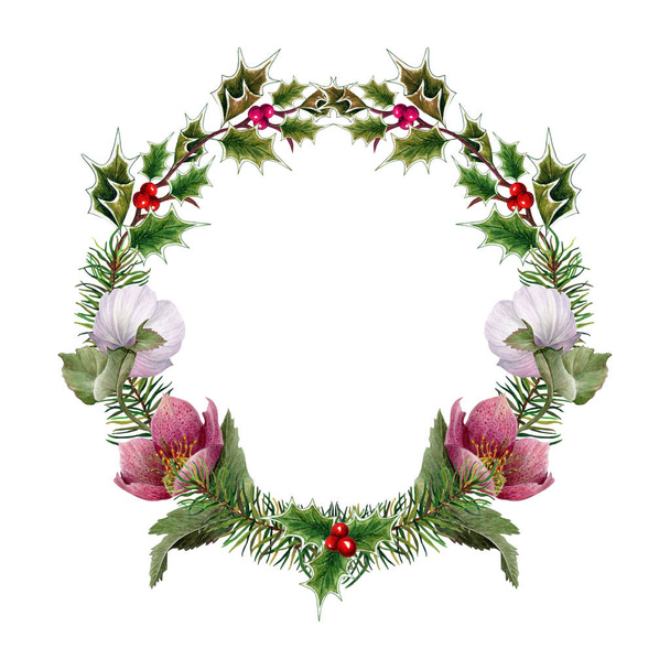 Watercolor Holly twig, Spruce sprig and Hellebore Wreath on white background - Photo, Image