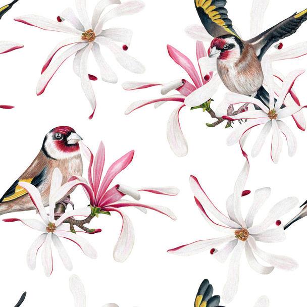 Акварель бесшовный узор с птицами и цветами магнолии на белом фоне. Ручная иллюстрация
. - Фото, изображение